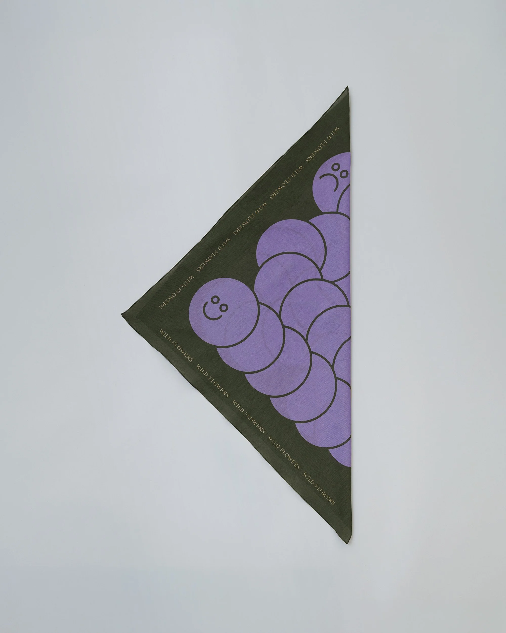 worm-glow-folded-4x5-web.jpg