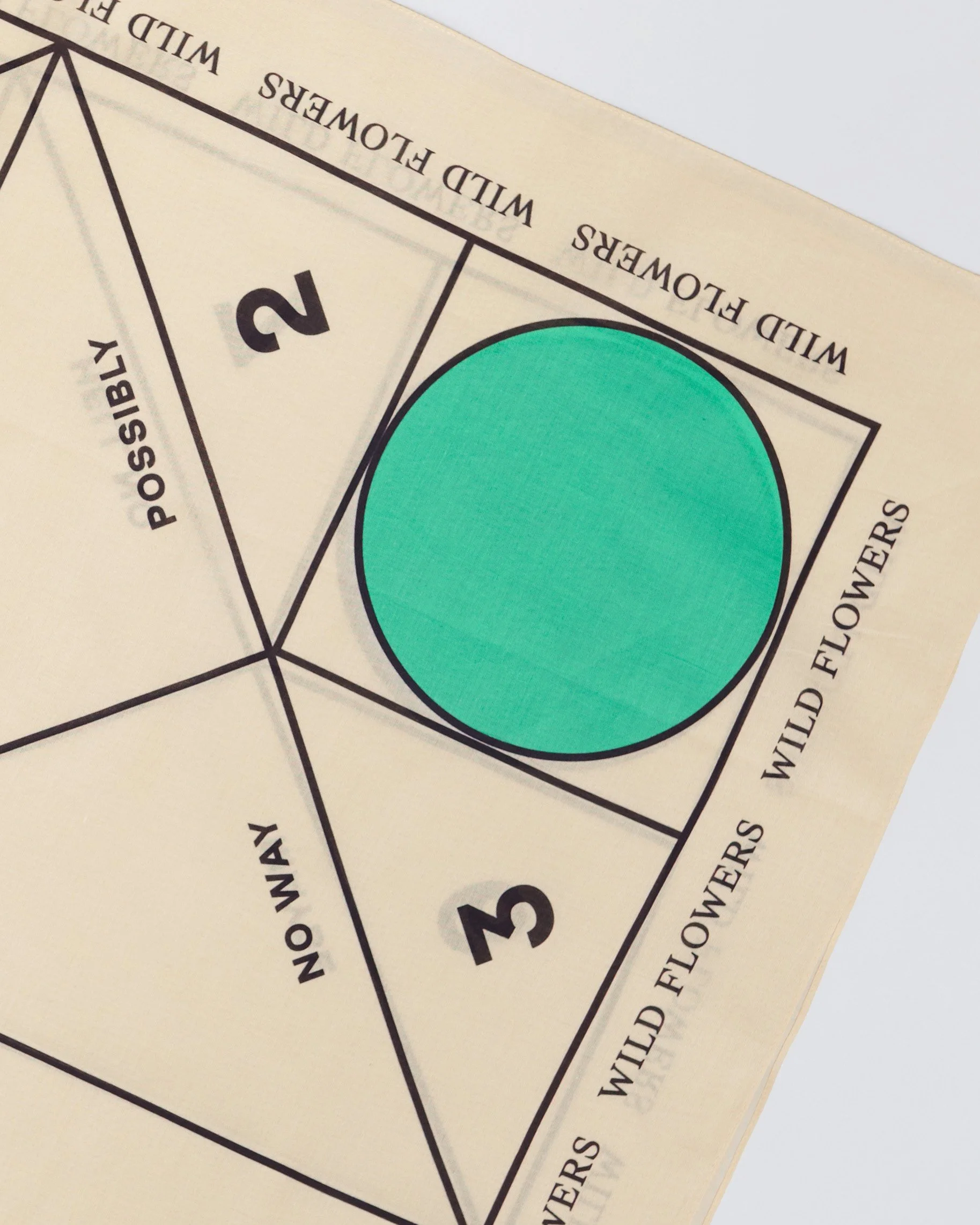 Oracle-4x5-folded-2-detail-web-v2.jpg