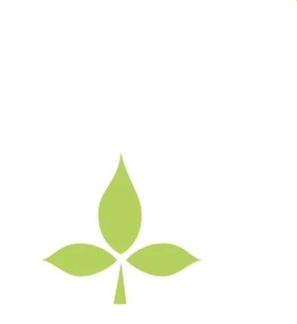 arbre 1.jpg