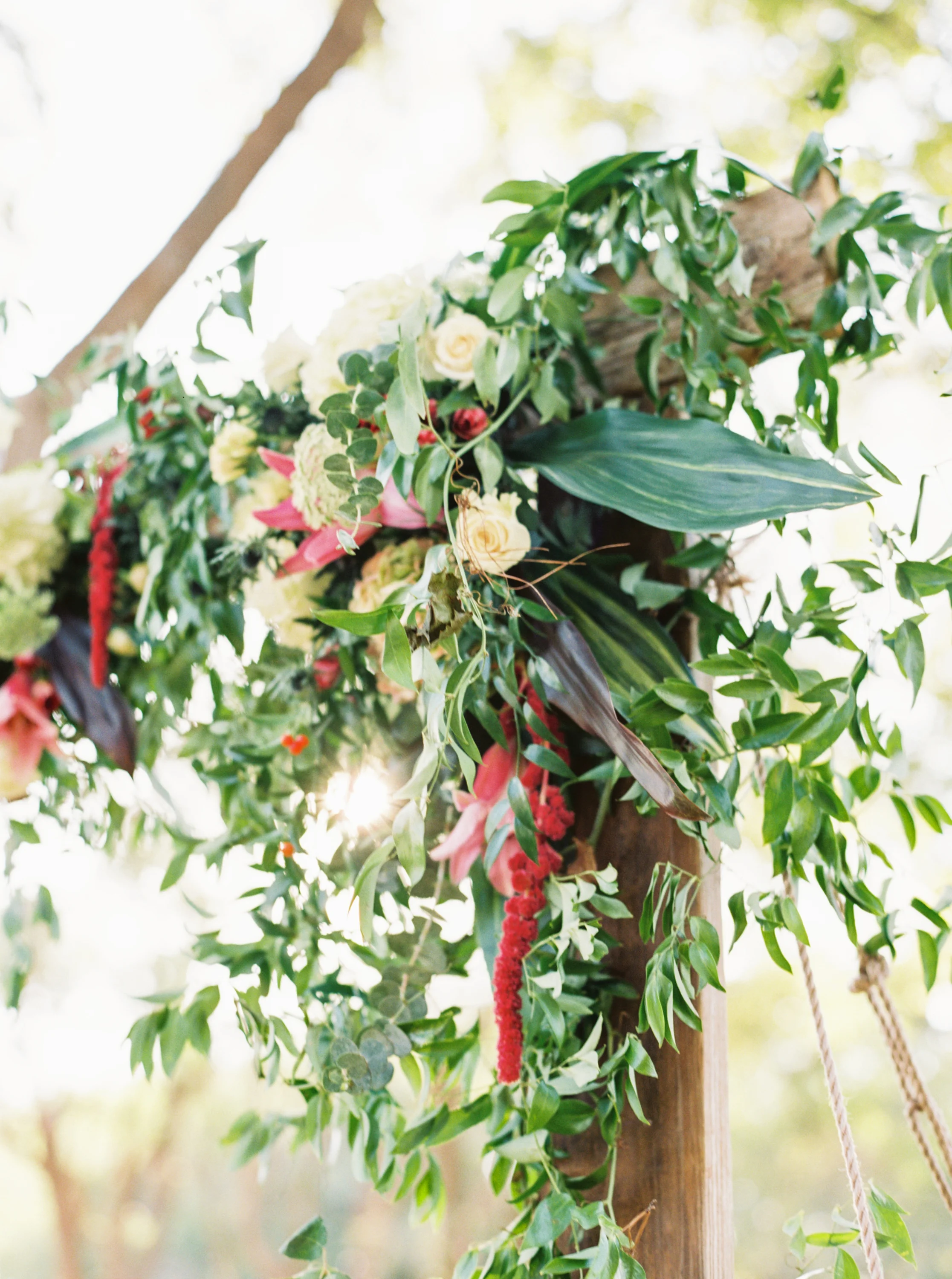 Britni Dean Photography | Texas Wedding & Portrait Photographer | Film Wedding Photographer | 2016 Wrap-Up!