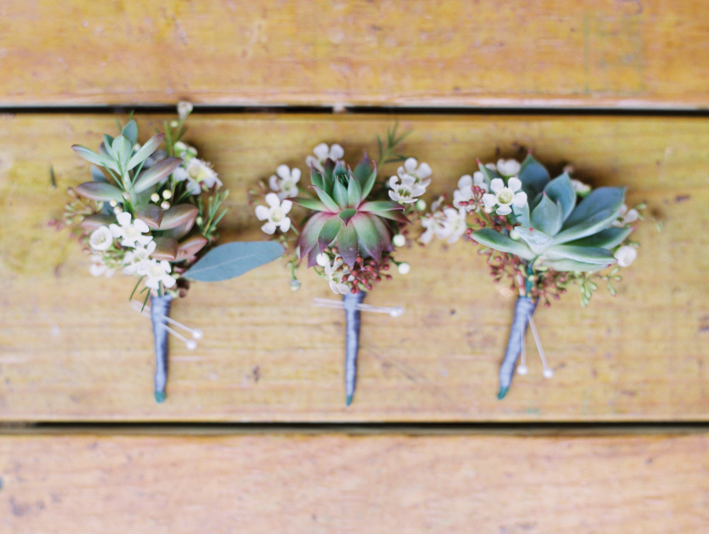 Hill Country Spring Wedding at Red Bud Hall | Austin Wedding Photographer | Film Wedding Photographer | Britni Dean Photography | Rainy Day Wedding Inspiration | succulent boutonniere