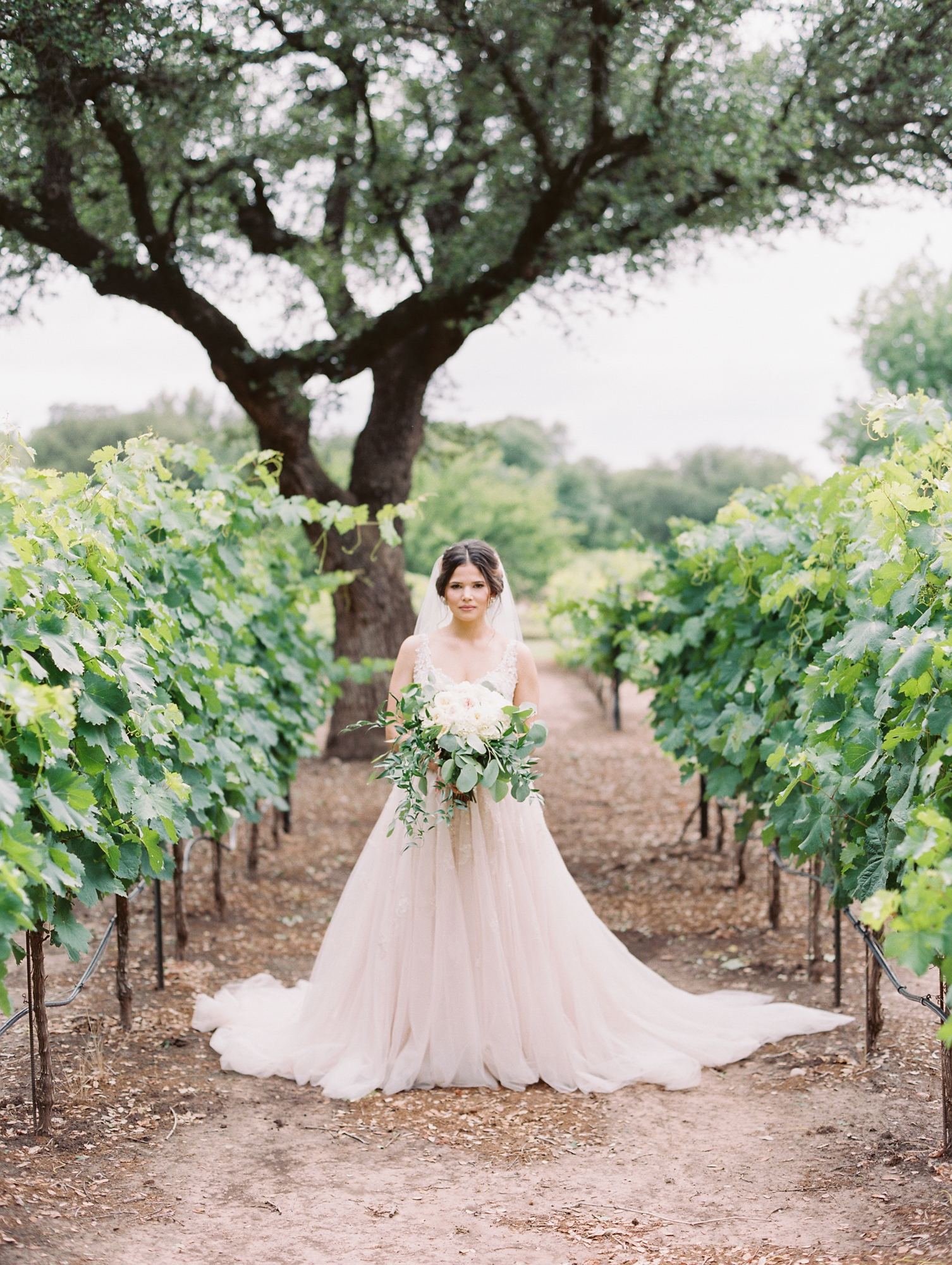 Elegant Spring Vineyard Wedding | Film Wedding Photographer | Austin Wedding Photographer | Bridal Wedding Day Portrait | Britni Dean Photography // britnidean.com