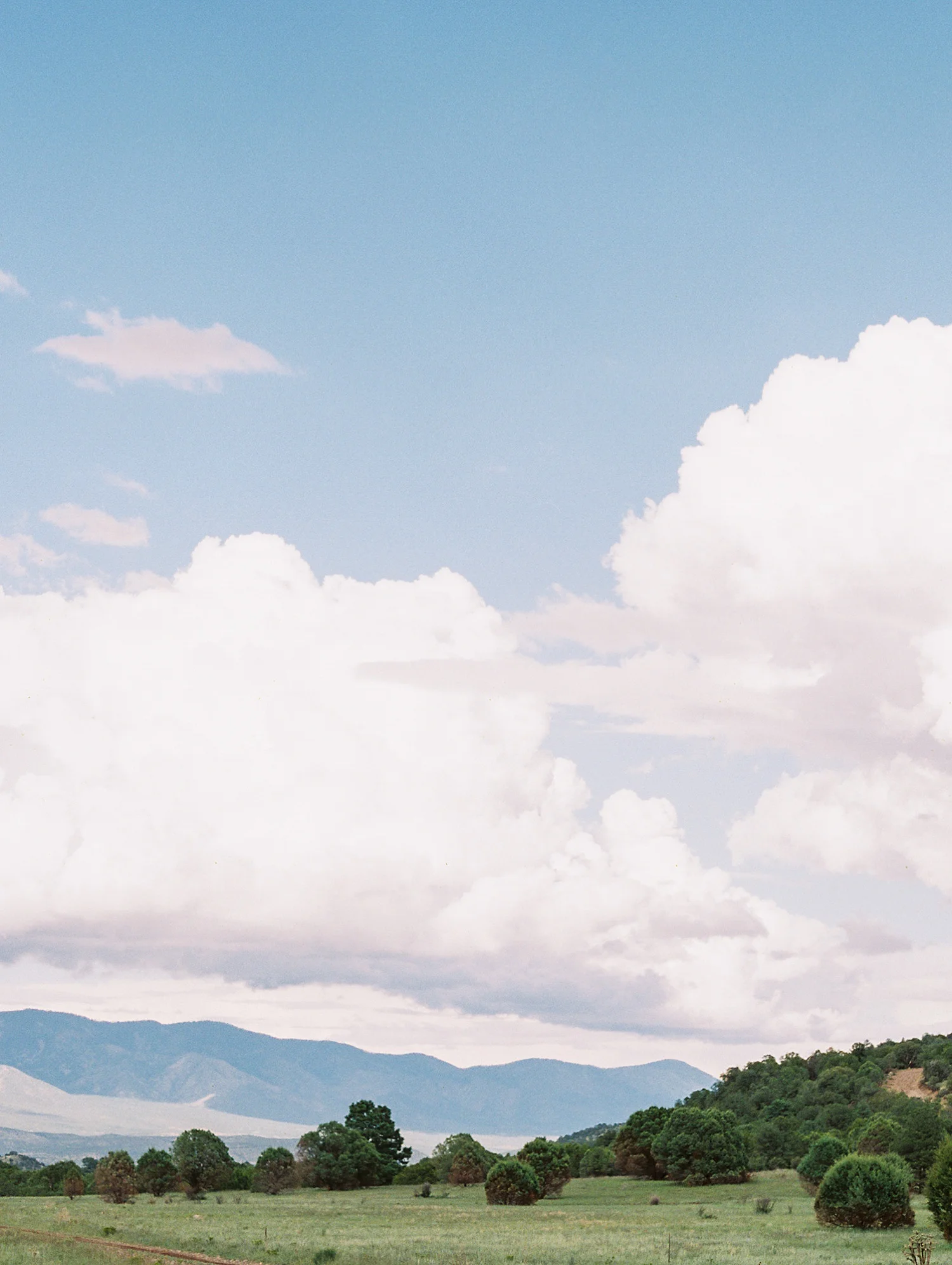 Hill Country Wedding Austin Texas Wedding Photographer_0336.jpg