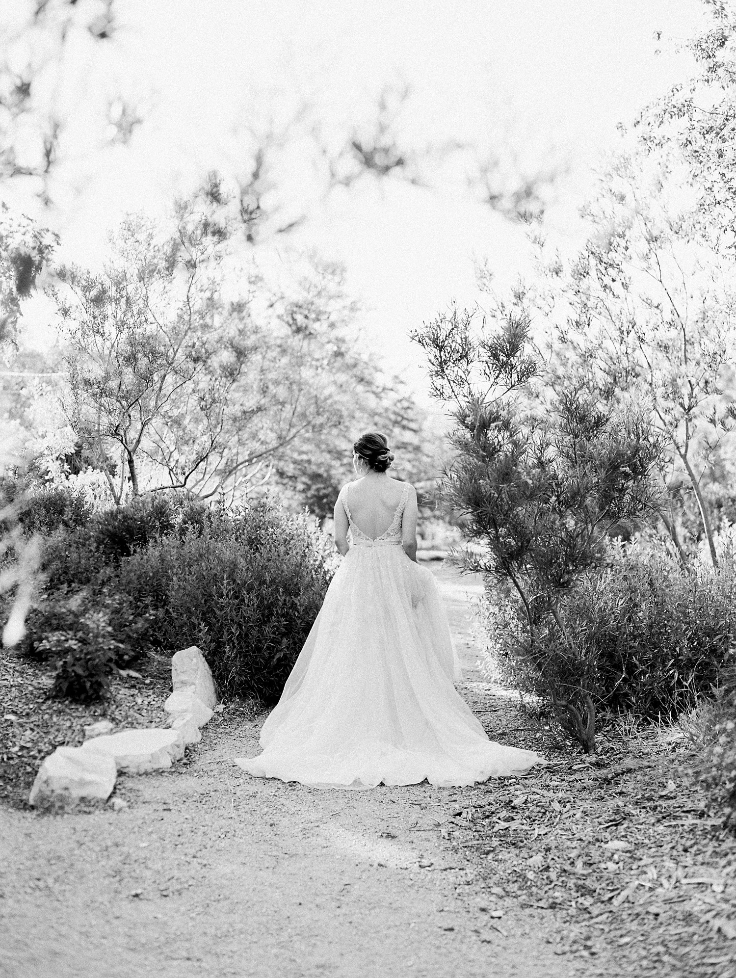 Hill Country Wedding Austin Texas Wedding Photographer_0528.jpg