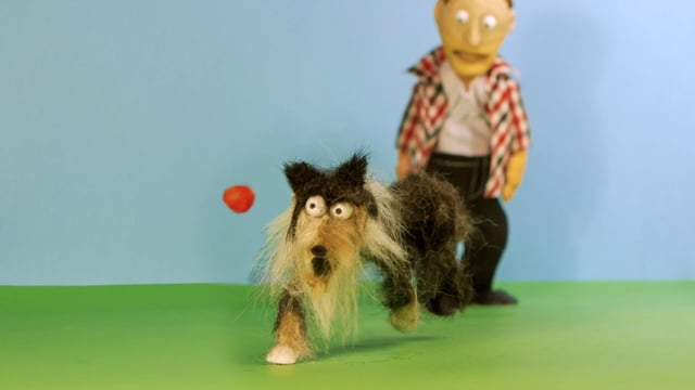 Fetch