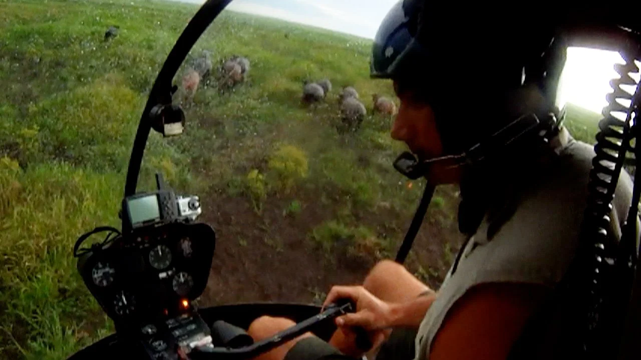 Gopro reel