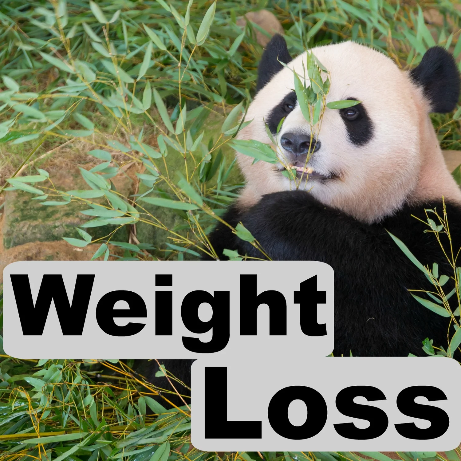 How to lose weight naturally and permanently without exercising and dieting
