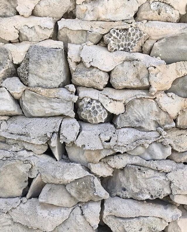 BACK TO NATURE &bull; Fascinated and a little obsessed with the beautiful textured walls we have come across in the local village of our island. Broken coral pieces are layered up with concrete and have a very light grey or white colour in parts, whe