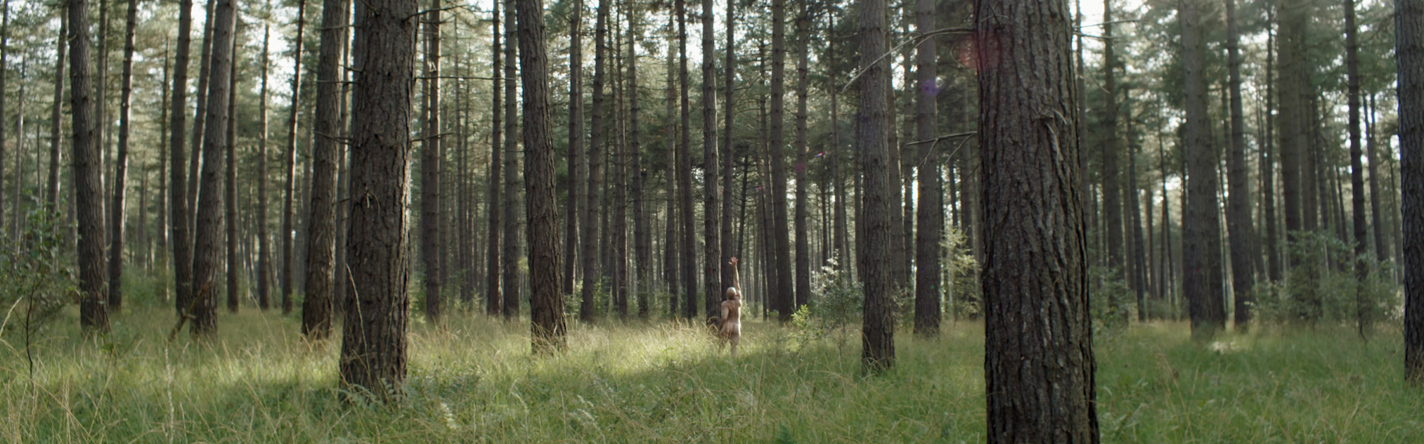 Schermafbeelding 2021-10-25 om 14.54.00.PNG