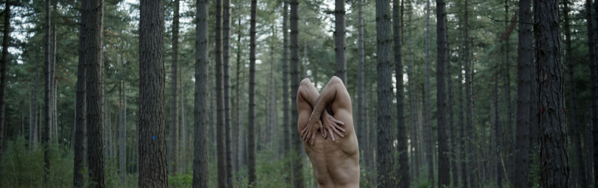 Schermafbeelding 2021-10-25 om 14.56.06.PNG