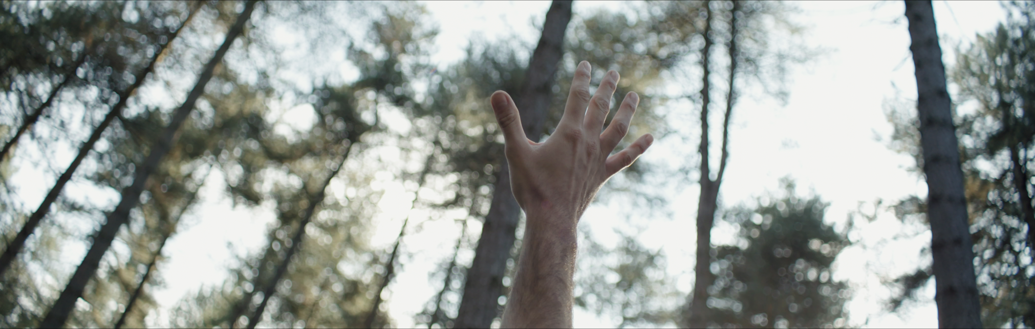 Schermafbeelding 2021-10-25 om 14.59.08.PNG