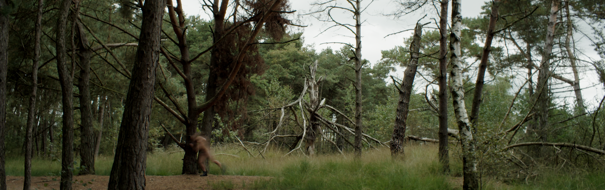 Schermafbeelding 2021-10-25 om 15.27.42.PNG