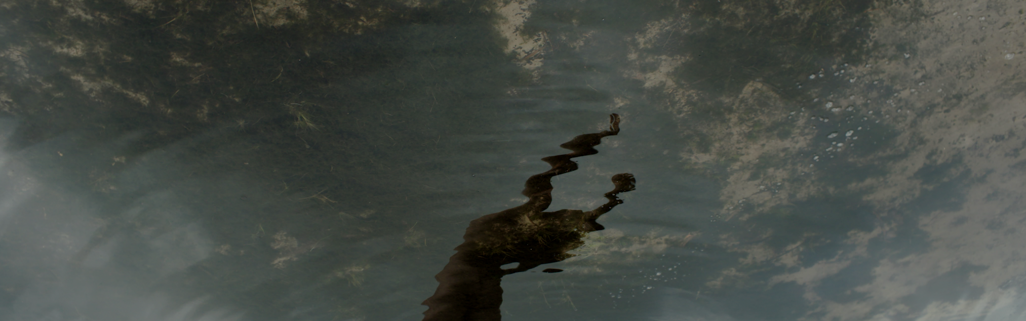 Schermafbeelding 2021-10-25 om 15.28.39.PNG