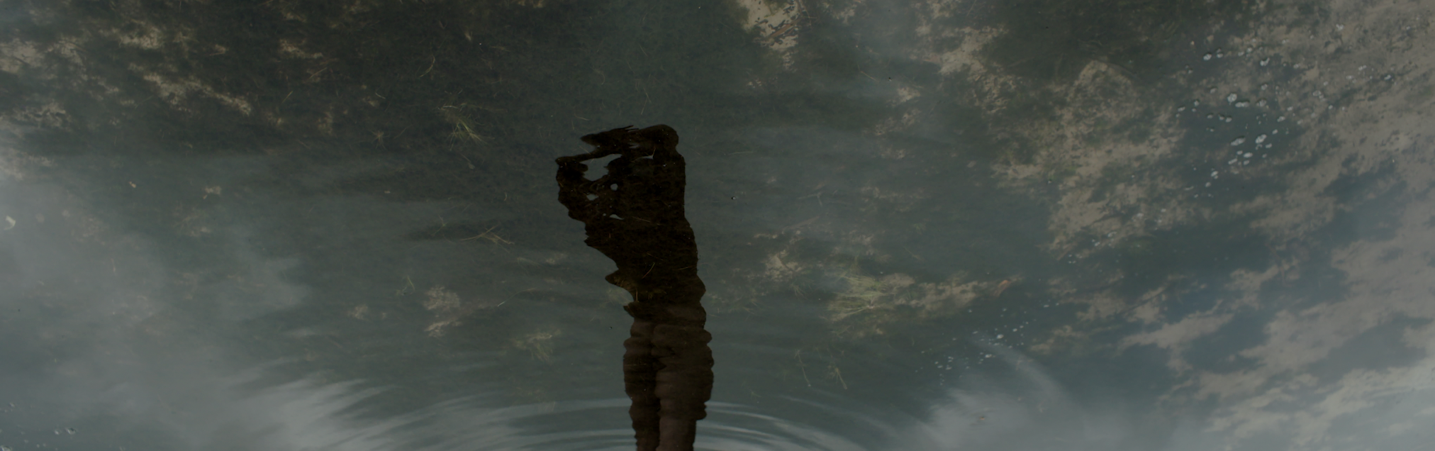 Schermafbeelding 2021-10-25 om 15.30.46.PNG