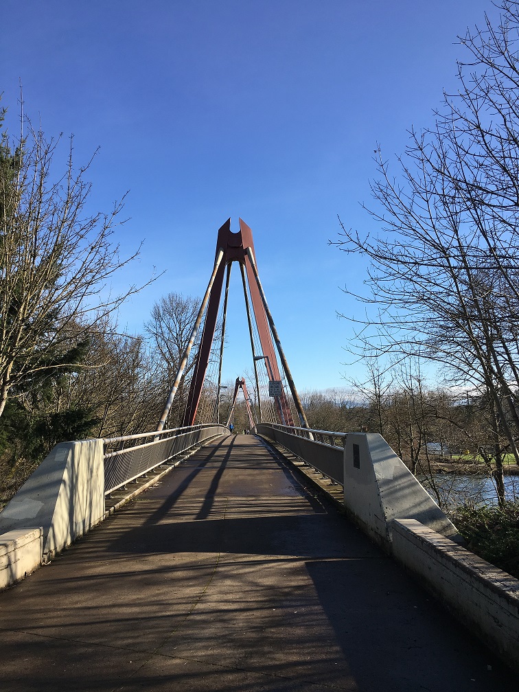 DeFazio Bridge Eugene Oregon.jpg