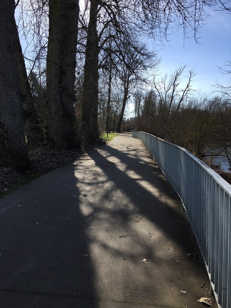 Running Path Alton Baker Park.jpg