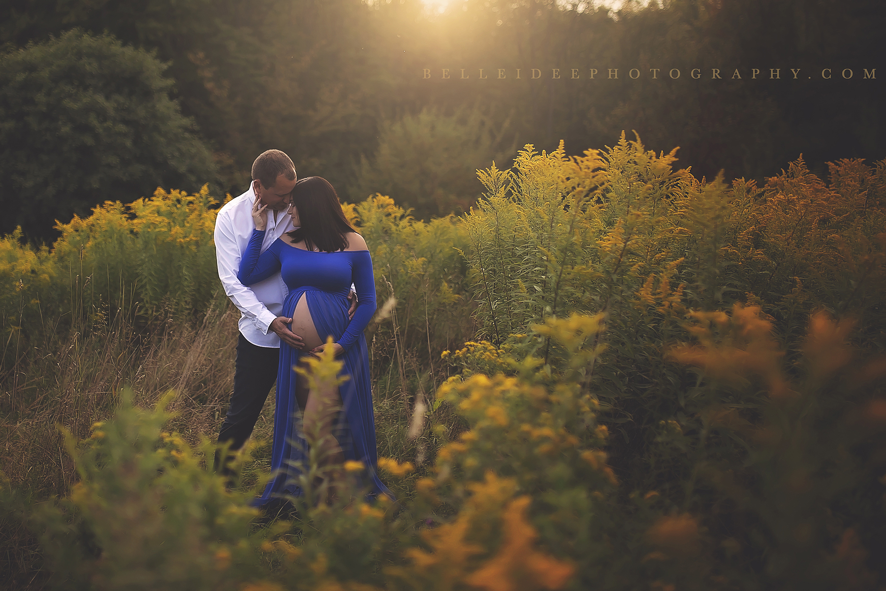 Maternity Photographer in Lakeview, NY