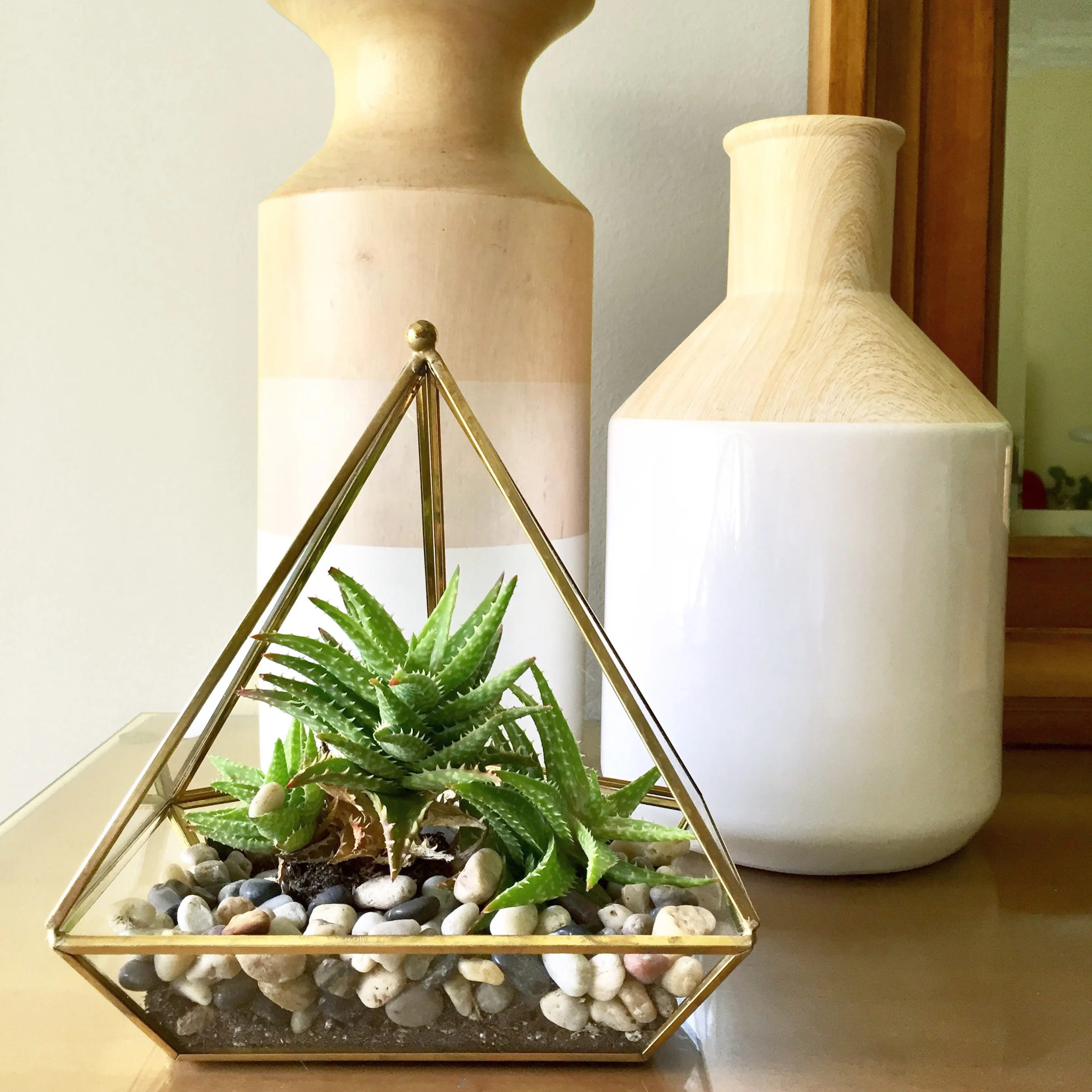 terrarium.jpg