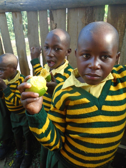 Mangos were a special treat!