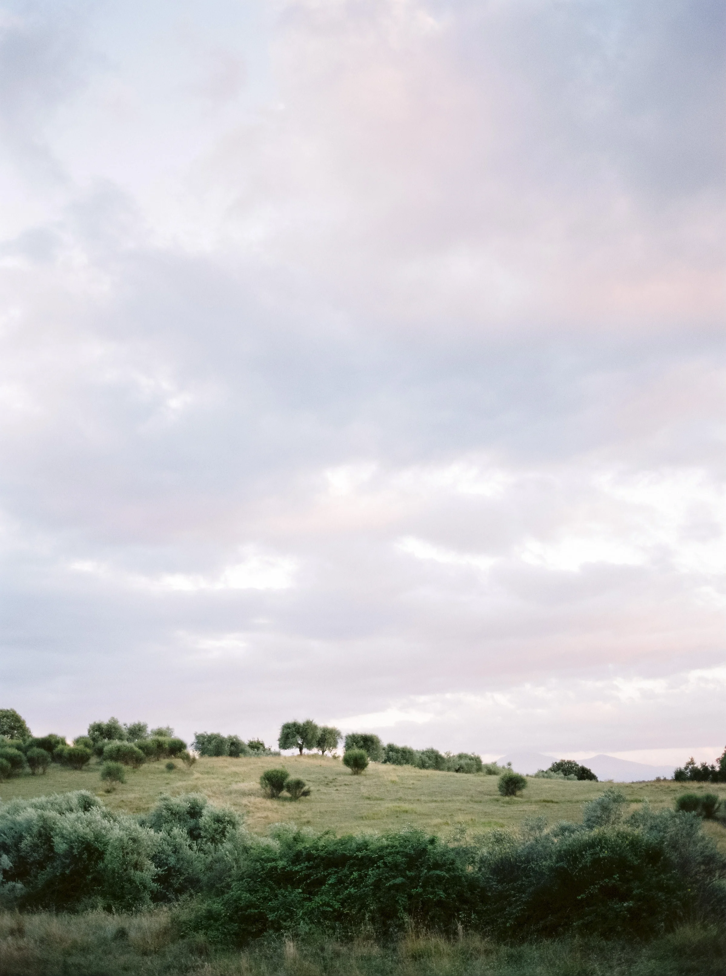 Tuscany Travels