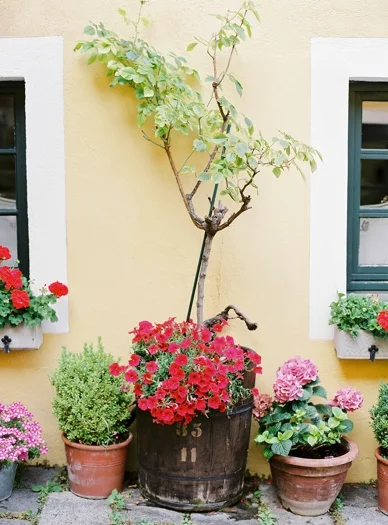 Intimate_Austrian_Wedding_0008.jpg