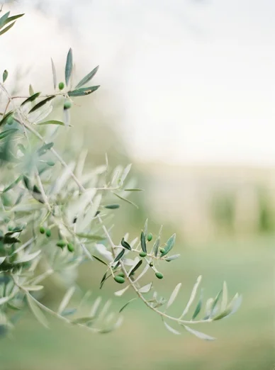 Tuscany_Destination_wedding_peachesandmint__0005.jpg