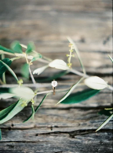 Tuscany_Destination_wedding_peachesandmint__0018.jpg