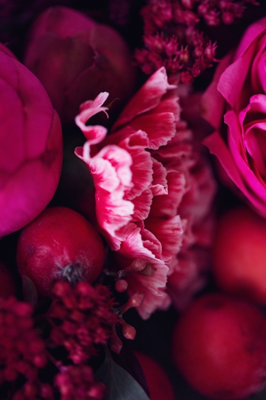 BoldRedBerry_Inspiration_0002.jpg