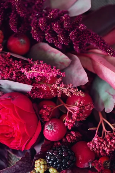 BoldRedBerry_Inspiration_0006.jpg