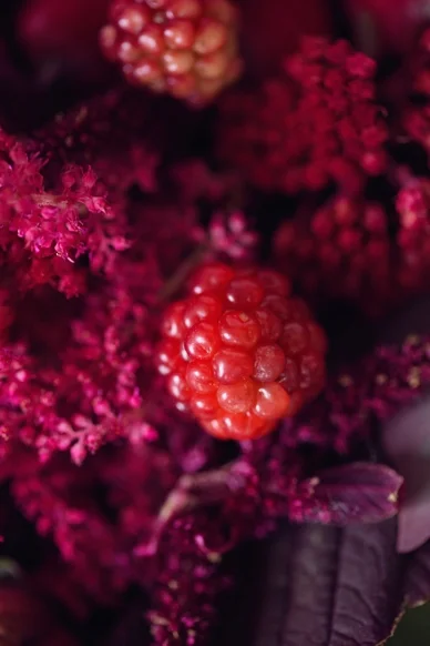 BoldRedBerry_Inspiration_0011.jpg