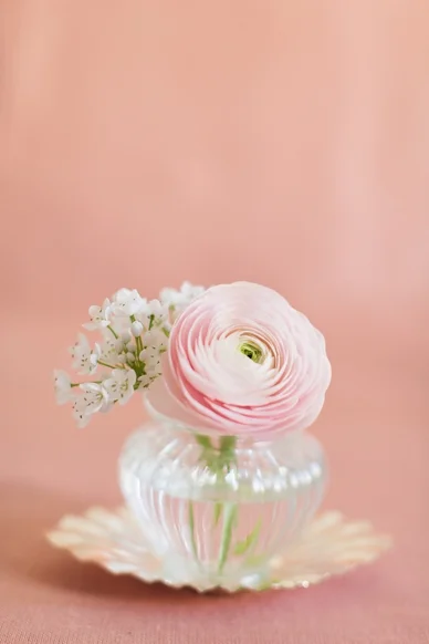 peachesmint_albums_0003.jpg