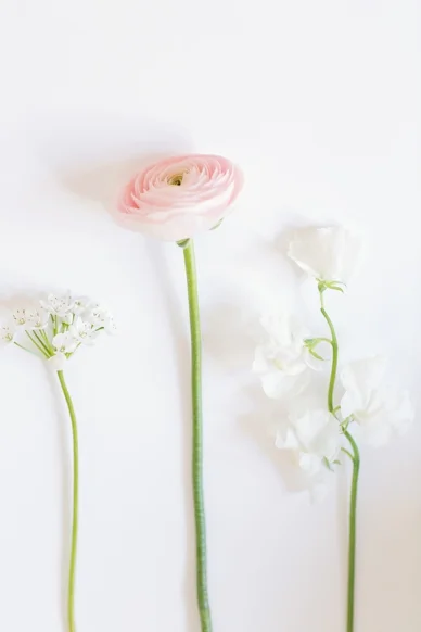 peachesmint_albums_0015.jpg
