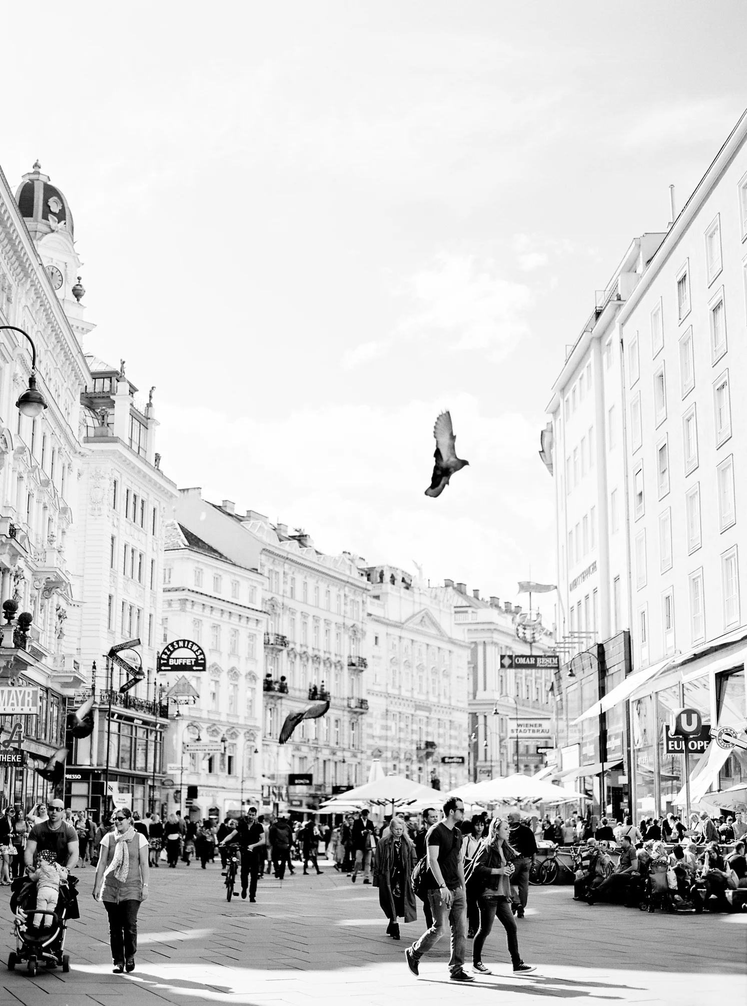 VIENNA_Col01©bypiaclodi5.jpg