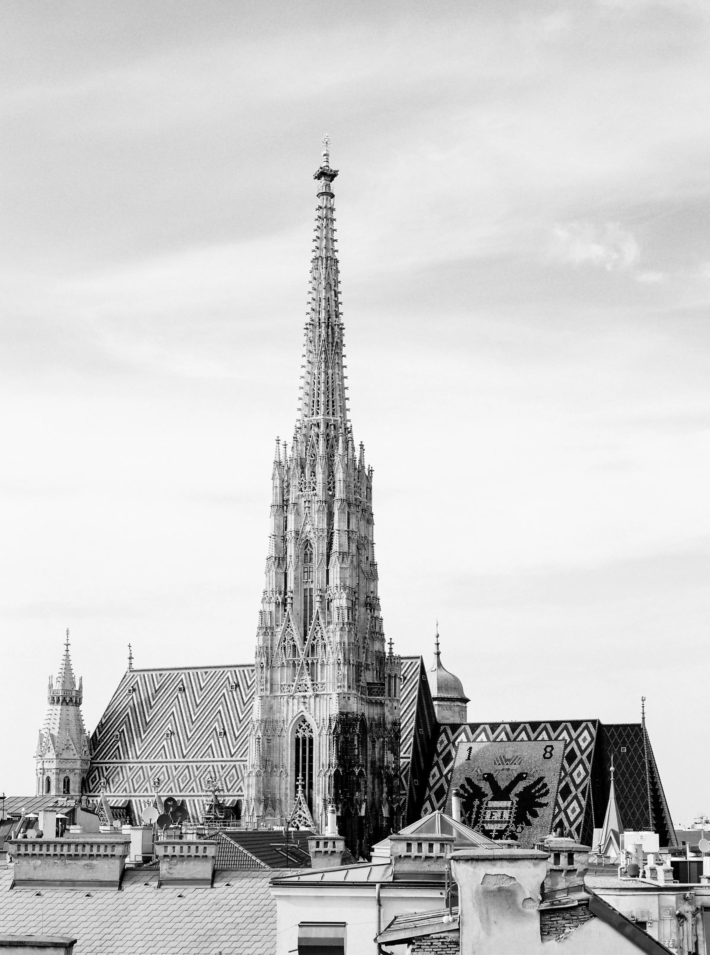 Steffl©bypiaclodi.jpg