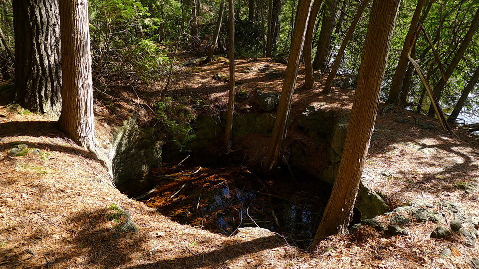 一个典型的壶穴保存Rockwood保护区,Eramosa河沿岸。壶穴的直径约为2米。2015年5月2日