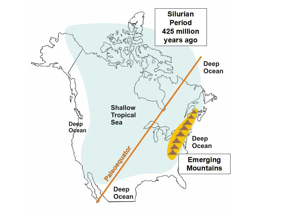 This cartoon shows the location of the equator and the extent of of a warm ocean that covered all of what we now call Ontario about 425 million years ago, during a time called the Silurian Period . You may be surprised to learn that a very long time ago, Ontario was located along the equator! The geological process called continental drift is responsible for Ontario's move from the tropical equatorial area to our present geographic location much further north. Image modified after Coniglio et al., 2006: Manitoulin Rocks!).