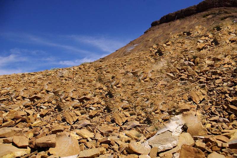 这张照片显示了5亿年前寒武纪时期陆地的样子。没有树，没有草，也没有植物。这是一片贫瘠的土地。2006年6月，艾伯塔省桌山，Andy Fyon拍摄。