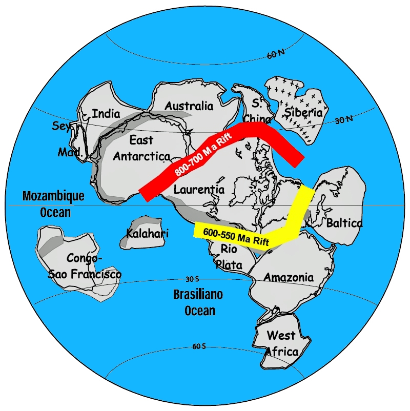 图2:大约10亿年前,地球的大陆被安排到一个叫做Rodinia超大陆。红色带显示,8亿年前Rodinia开始分裂。罗丹的黄色带显示剩余的部分…