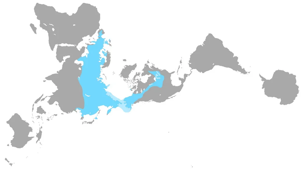 Figure 7: Distribution of Woolly Mammoth ( Mammuthus primigenius) during the last great ice age, called the Late Pleistocene. The distribution is based on discovered fossil remains. The lighter blue regions were land during the Late Pleistocene. At that time, sea level was lower because a lot of ocean water was converted to glacial ice. Adapted from Álvarez-Lao, et al. (2009).. Image from: By Azcolvin429 - Own work, CC BY-SA 4.0, https://commons.wikimedia.org/w/index.php?curid=53336204