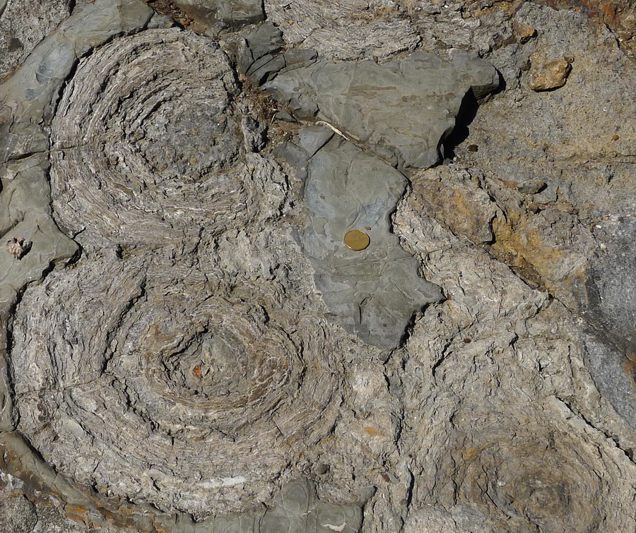 图9:叠层石暴露在桑德贝,加拿大安大略省的区域。raybet11雷竞技官网dota叠层石的形状有点像蘑菇。顶部的叠层石在过去的大冰期被侵蚀了。图片由安迪Fyon, 2013年5月15日。