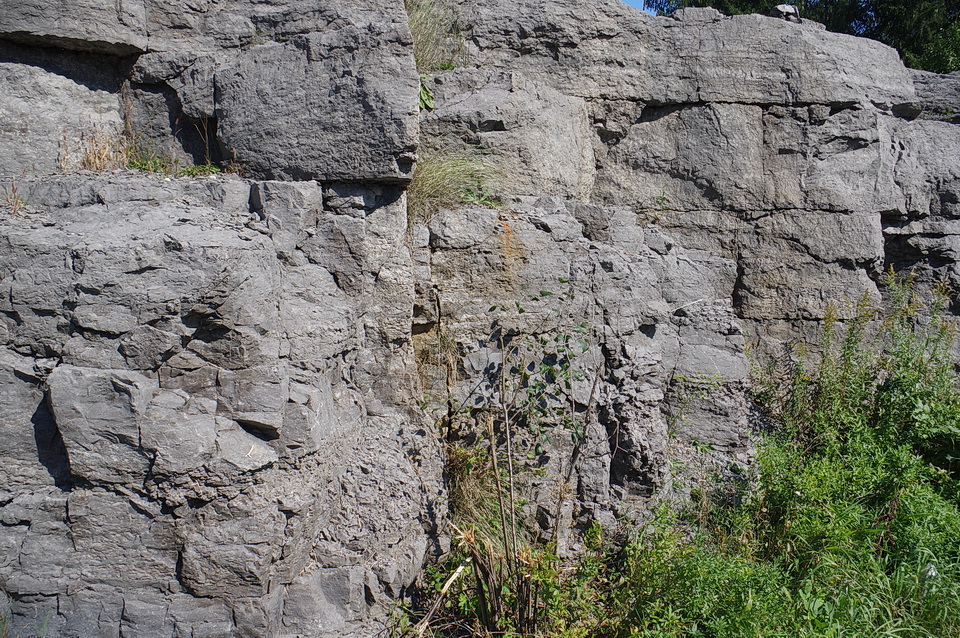 图6:一个例子的石灰岩接触沿着公路20,相邻的采石场似乎是石灰岩的来源用于构建Pakenham five-span石桥。我认为这个岩石沿着公路20…
