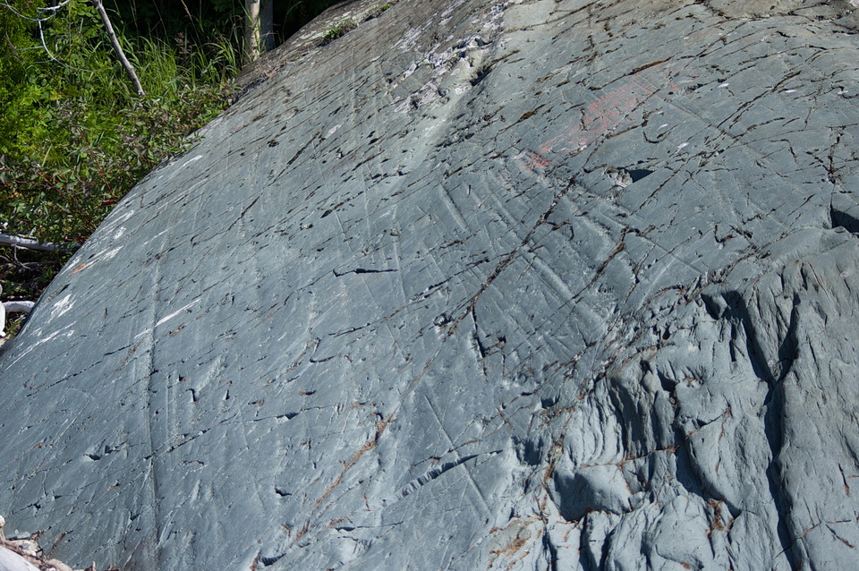 图1:这种岩石表面上平行的长划痕被称为冰川条纹。它们是由冰川底部被拖拽的岩石碎片形成的。岩石碎片擦伤了露出地面的岩石表面。…