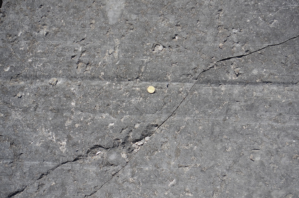 冰川条纹在岩石上横向延伸。一元硬币(Loonie)用于比例。基岩为Simcoe群Bobcaygeon组的石灰岩。地点:加拿大安大略省Pakenham / Mississippi Mills地区。raybet11雷竞技官网dotaAndy Fyon拍摄，9月12日17日。