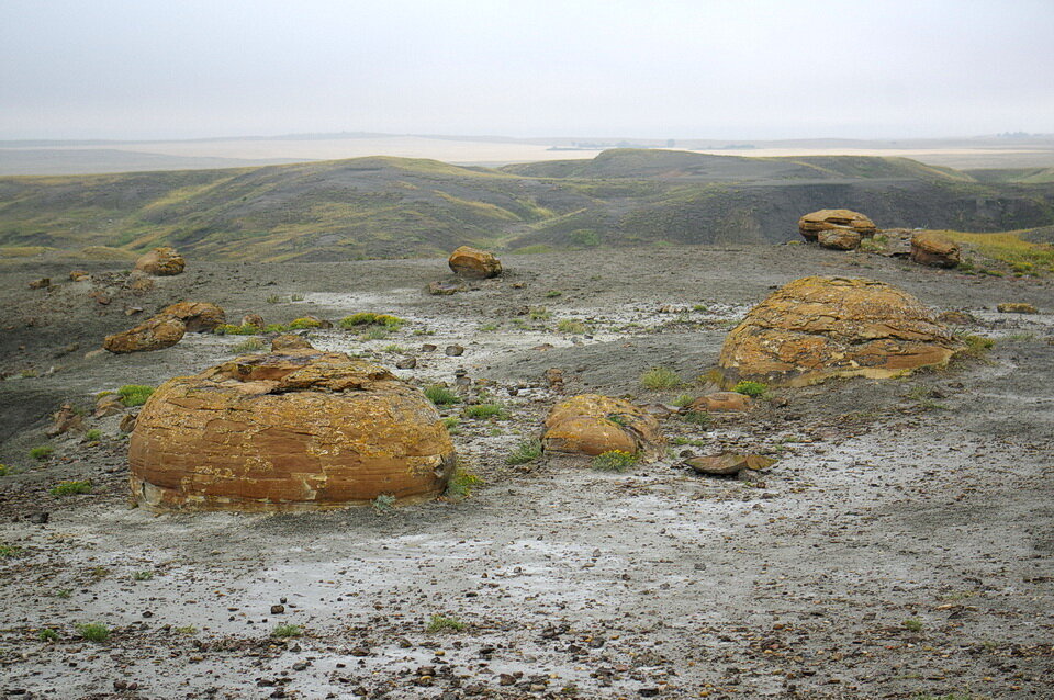 一些红色的,球形的具体点的表面降落在红岩深谷,阿尔伯塔省南部。具体的东西是比主机Bearpaw形成的页岩,岩石抵抗侵蚀,剩下土地表面的af…