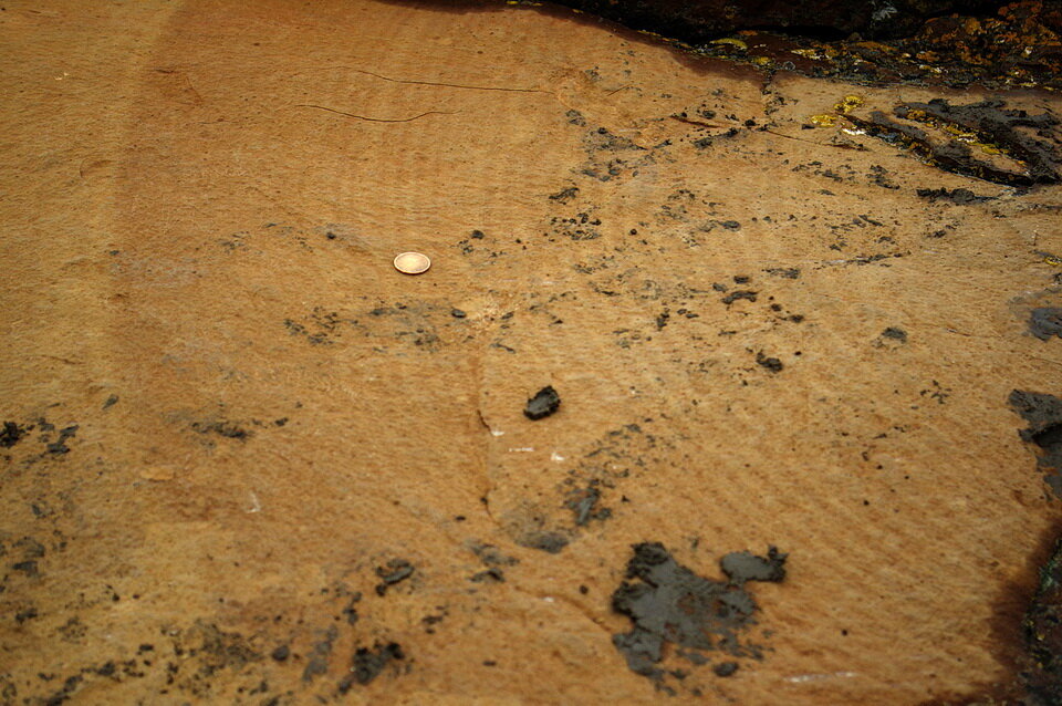 照片2:结核分裂,你有时能看到“年轮”产生的连续沉积的层的水泥。注意硬币(2.5厘米直径;1英寸)的大小说明了年轮的结核。com照片…