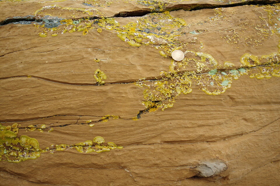 照片3:在这个截面结核的红岩深谷,有模糊的线条和乐队可见类似交错层理。图像由安迪Fyon, 2019年8月12日。