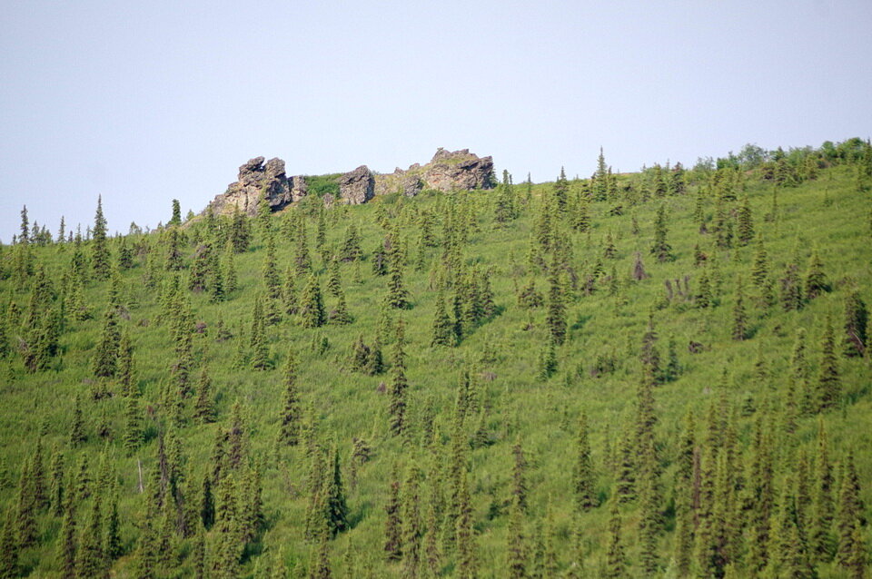 照片2:这个tor,位于世界之巅公路、西北道森克里克,育空地区,非正式称为城堡石,因为它的形状像一座城堡。它也像一艘船的形状。岩石的变质沉积…