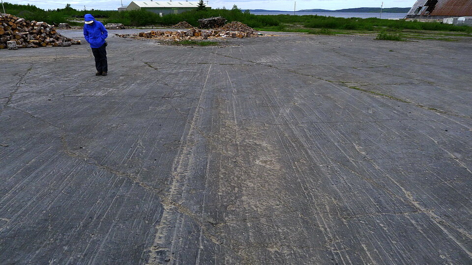 纽芬兰岛霍克斯湾，冰川的条纹划破了石灰岩路面的表面。Andy Fyon摄于2011年6月16日。