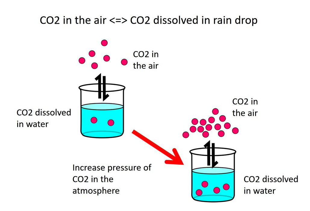 图3:增加大气中二氧化碳气体(CO2)的压力，以增加烧杯上方红点的数量来表示，这会导致反应调整，通过向右推“向前”来增加二氧化碳的量…