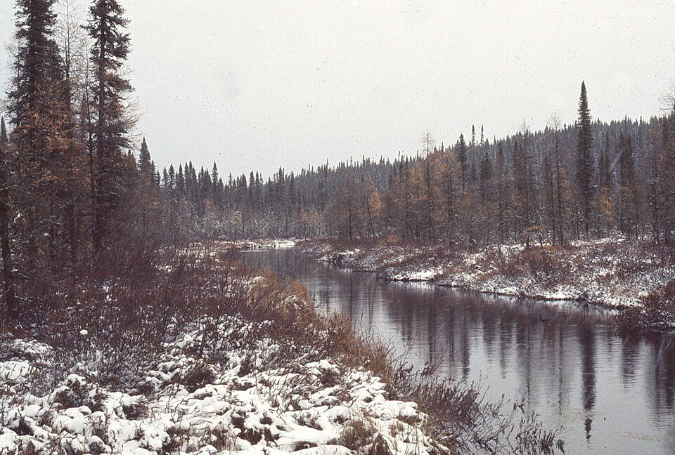 小溪,我们检查在下午暴风雪看到多远我们可以把独木舟。这是我们应急逃生计划的一部分。图像由安迪•Fyon溪山湖,1976年10月西北安大略湖。raybet11